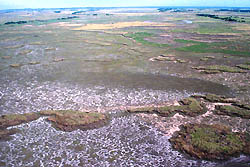 Planicie Salitrosa