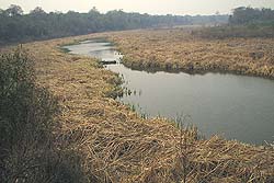 Laguna Carpincho