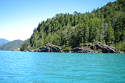 Vista del Bosque Costero desde el Lago Puelo