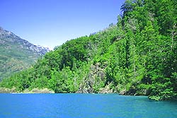 Márgenes Boscosas del Lago Puelo