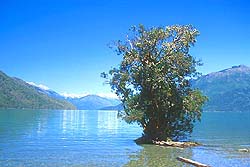 Lago Puelo