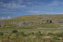Entre las rocas surgen verdaderas palanganas de pastos cortos