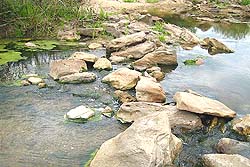 Arroyo de escaso caudal