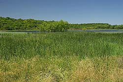 Laguna de Las Piedras