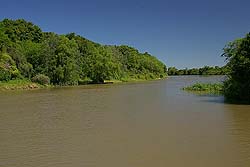 Selva Marginal del Río Paraná