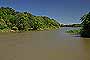Selva Marginal
