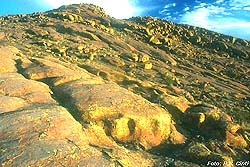 Cerro Sociedad Científica