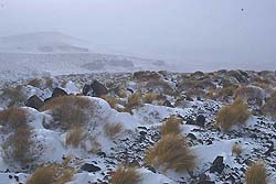 Amplia Planicie Nevada