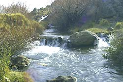 Arroyo de la Estepa Patagónica