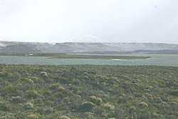 Estepa Patagónica