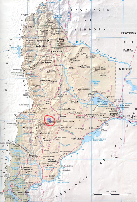 Ubicación dentro de la Provincia de Neuquén