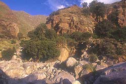 Panorámica del Valle