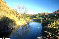 Arroyo en el PN
