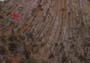 Plegamiento de Rocas