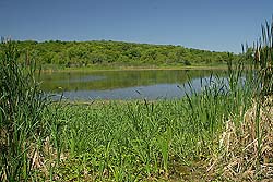 Laguna Irupé